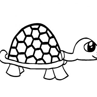 Kaplumbağa Boyama Sayfası Çocuklar için